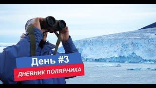 ДНЕВНИК ПОЛЯРНИКА / день 3