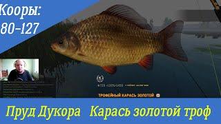 Fisher Online   Пруд Дукора Золотой карась  троф