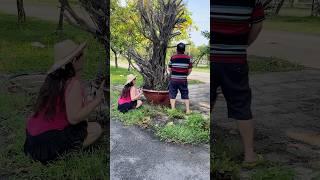 Cặp đôi hài hước 