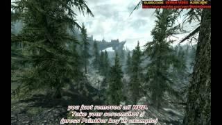 Skyrim - How to Take Amazing Screenshot!