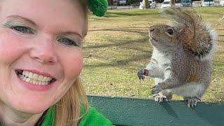 Squirrel Whisper Cynthia Beaumont is live!