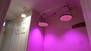 Making a new Plant Grow Room & installing Grow Lights - Vlog