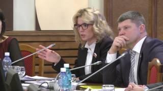 Меры господдержки инвесторов необходимо совершенствовать - Ирина Диденко