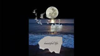 beautiful life. (album cover song remix) ️MADE BY ME/AI️