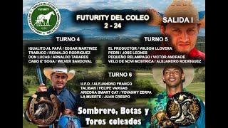 Turnos 4 5 6 Futurity Del Coleo 2 24 Salida 1