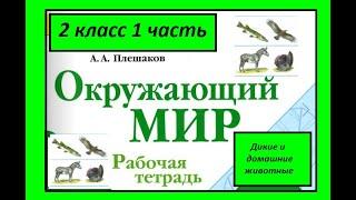 Окружающий мир 2 класс рабочая тетрадь. Дикие и домашние животные