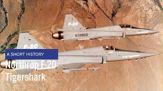 Northrop F-20 Tigershark - A Short History of one of the best fighters never actually produced