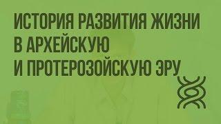 История развития жизни в архейскую и протерозойскую эру. Видеоурок по биологии 11 класс