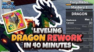 Leveling up Dragon Rework in 40 Mins (Blox Fruits Dragon Update)