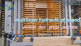 Multilayer hydraulic plywood laminating hot press machine