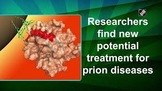 Researchers find new potential treatment for prion diseases