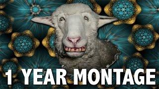 1 YEAR OF KIRA KOMRAD MONTAGE
