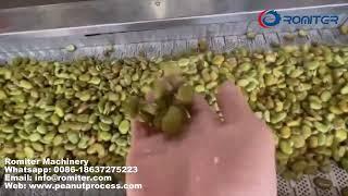 Automatic broad bean processing Machine