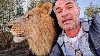 Kevin Richardson Encounters LION TURF WARS | The Lion Whisperer