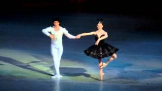 New!!!Lopatkina Korsuncev swan lake, Black Adagio! Fantastic!!