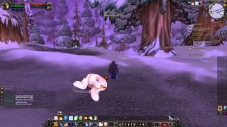 World of Warcraft Winterfall Runners Quest HD