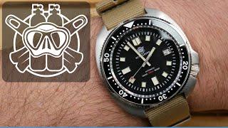 Steeldive SD1970 Seiko Willard Homage  I  The Best Dive Watch Under $100