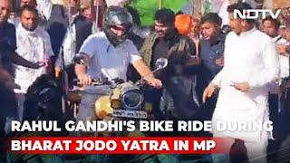 Watch: Rahul Gandhi's Bike Ride During Bharat Jodo Yatra In Madhya Pradesh