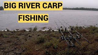 BIG River Carp Fishing (Intense Runs!)