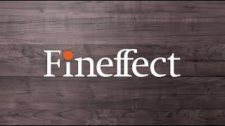 Fineffect от NL International