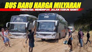 Bus Baru HARGA MILYARAN TERPAKSA LEWATAI JALAN KEBUN SAWIT