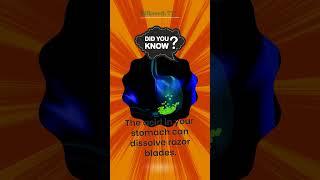 3 Mind-Blowing Human Body Facts You’ve Never Heard Before! #shorts