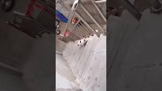cat parkour perfect loops #catsoftiktok #perfectloop #shorts #illusion