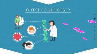 Les OGM - Décod'Actu, saison 1