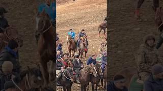 ЖАРГОК  ТОМОША УЧУН !.. #otbozori #ot_narxlari #uloq #horse