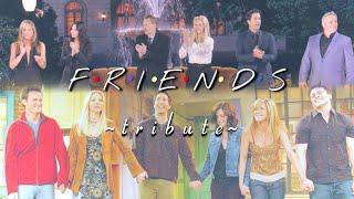 FRIENDS TRIBUTE