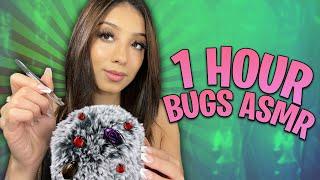 ASMR| 1 HOUR OF BUGS! 