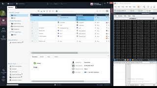 gw cluster R80.10 upgrade to R81.10