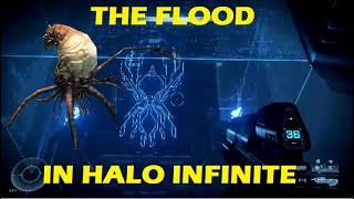 Halo Infinite - The Flood Has Been Found On Installation 07