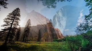  5 Hours of Relaxing Piano Music for Stress Relief, Focus, and Calm 