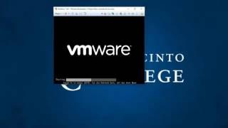 VM Workstation Windows 7 Install