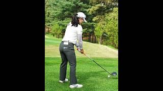 This is the textbook for driver swing.