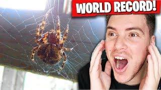 A MikeShowSha NON PIACE QUESTO VIDEO!!!