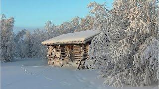 Проверка капканов на куницу. Зайцы, рысь, лось.