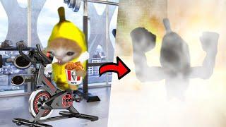 Banana Cat wants to lose weight[FULL EPISODE]