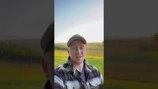Small farm delicious chicken “SECRETS”