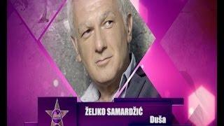 Zeljko Samardzic - Dusa // PINK MUSIC FESTIVAL 2014