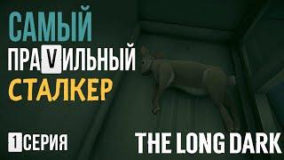 САМЫЙ ПРАVИЛЬНЫЙ СТАЛКЕРTHE LONG DARK1 СЕРИЯ