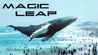 Magic Leap   -  All videos in one