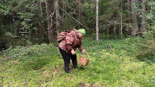 "Жизнь на пенсии".. Ходили с соседкой в лес.