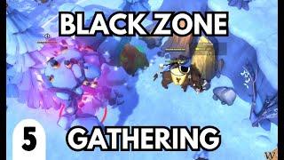 SOMETIMES I HATE PLAYING SOLO - OPEN WORLD BLACK ZONE GATHERING | ALBION ONLINE