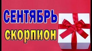 СКОРПИОН  СЕНТЯБРЬ 2019. Таро прогноз гороскоп