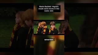Prepare to see Harry Potter and the Philosopher's Stone through a whole new lens! This fascinating