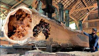 Not Just Ordinary Wood, Watch What You Find When You Split It!"