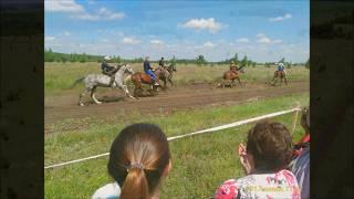 Скачки на лошадях с. Целинное  11 06 2017 г.