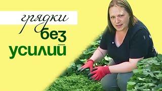 ЛЁГКИЕ ГРЯДКИ на вашем участке